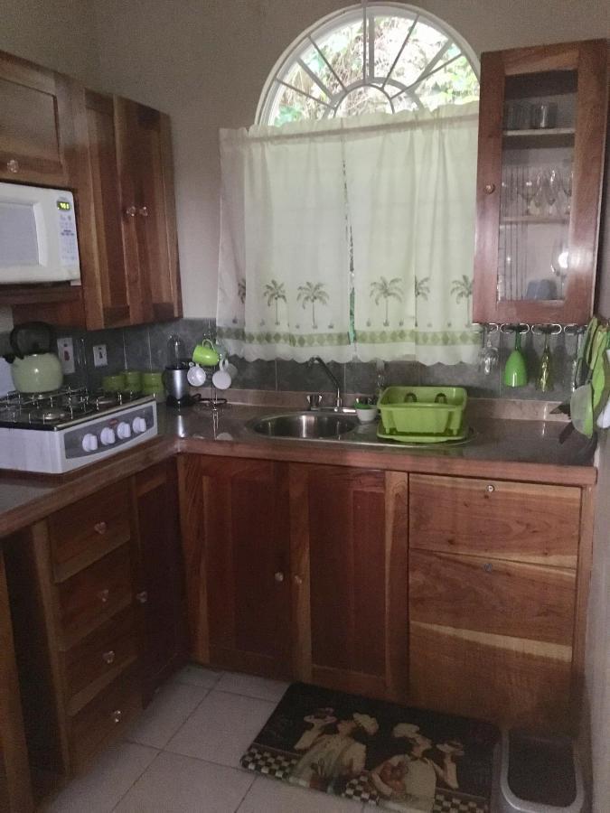 #D1 Castle Studio Wifi King Bed Ocho Rios Jamaica Екстер'єр фото