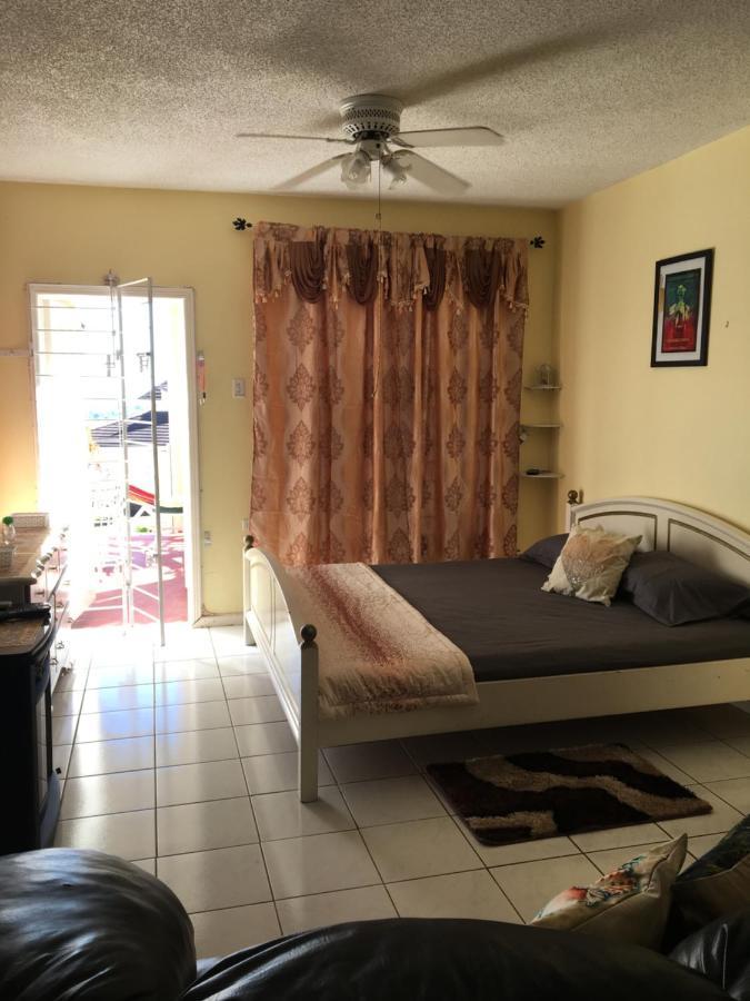 #D1 Castle Studio Wifi King Bed Ocho Rios Jamaica Екстер'єр фото