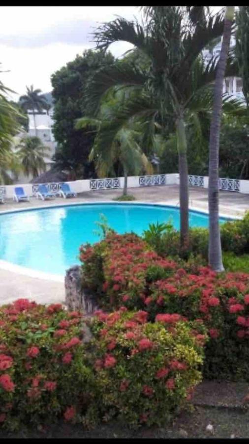 #D1 Castle Studio Wifi King Bed Ocho Rios Jamaica Екстер'єр фото