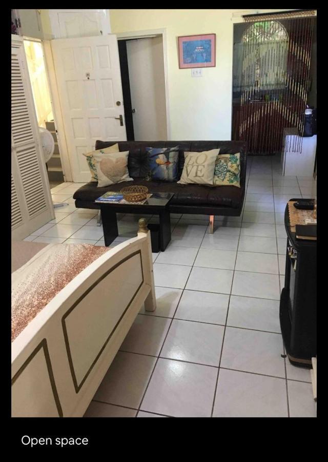 #D1 Castle Studio Wifi King Bed Ocho Rios Jamaica Екстер'єр фото